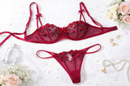 Red Embroidered Lace Bra & Panty Set