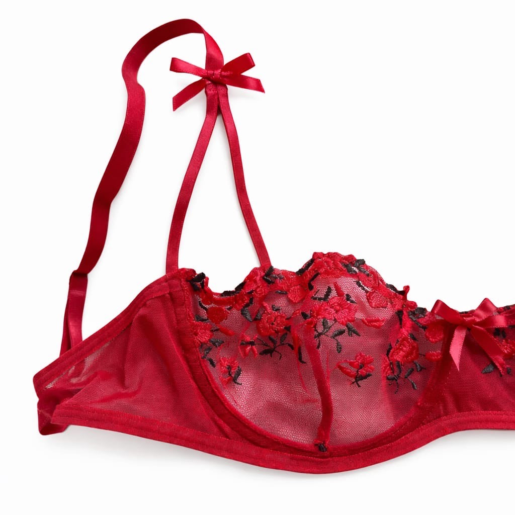 Red embroidered lace bra & panty set