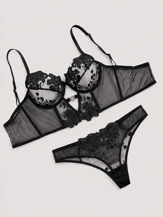 Scarlet luxe embroidered mesh lingerie set