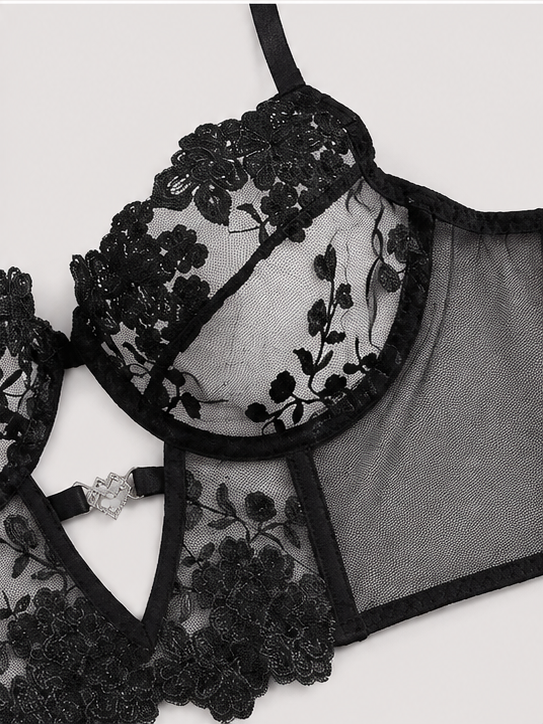 Scarlet Luxe Embroidered Mesh Lingerie Set