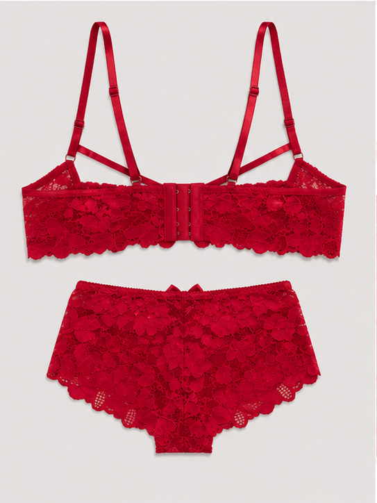 Luxury Red Floral Lace Push-Up Lingerie Set for Women