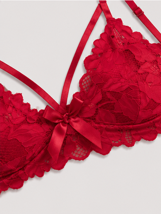 Luxury Red Floral Lace Push-Up Lingerie Set for Women