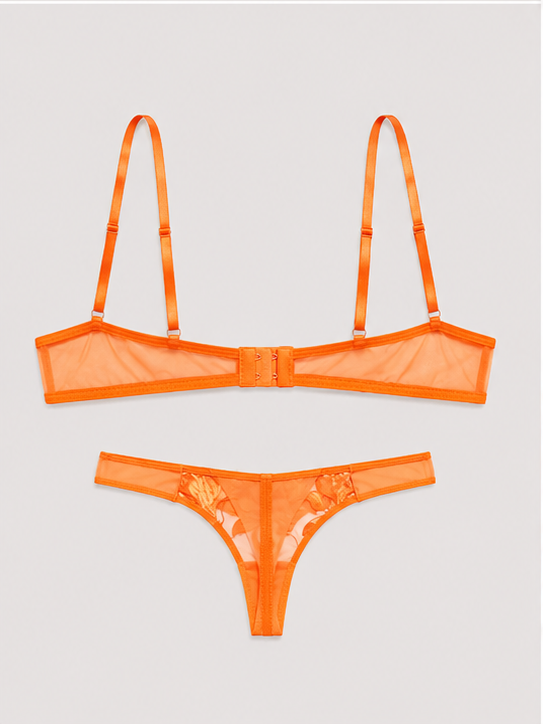 Vibrant Orange Sheer Embroidered Lace Lingerie Set for Women