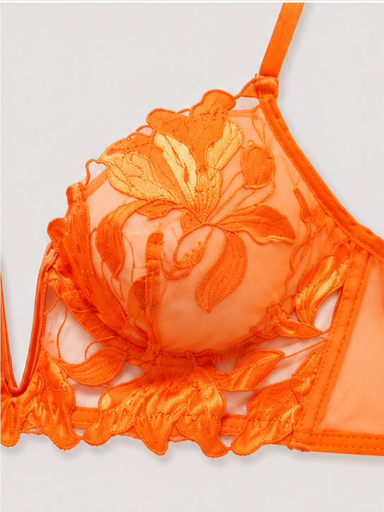 Vibrant Orange Sheer Embroidered Lace Lingerie Set for Women