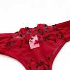 Red Embroidered Lace Bra & Panty Set