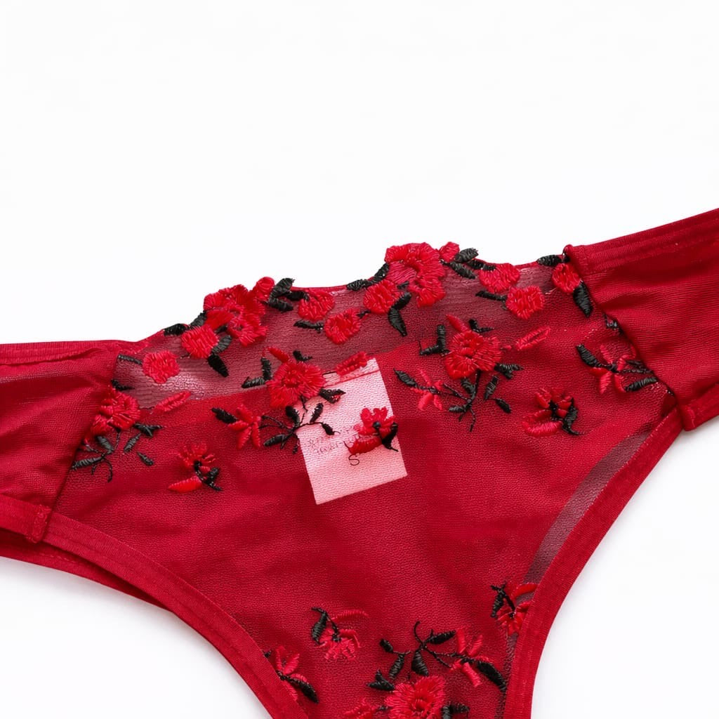 Red Embroidered Lace Bra & Panty Set